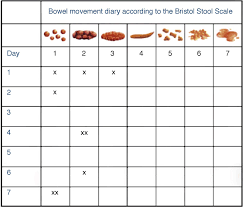 Bowel Movement Chart World Of Reference
