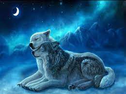 Check Out This Second Life Marketplace Item Wolf Love Animal Spirit Guides Wolf Photos