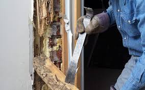 Do it yourself pest control tucson •. Termites In Arizona The Termite Treatment Guide