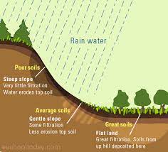 Soil microbial processes control soil nutrient cycling, foremost carbon cycling; Part 2 Factors Responsible For The Formation Of Soil Soil Profile Civilsdaily