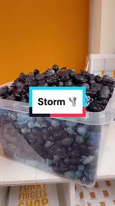 Wizard of Oz Anxiety Relief Tools and Calming Toys