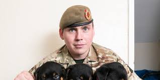 This rottweiler puppy application is free to fill out and submit. Soldier S Pet Rottweiler Gives Birth To 16 Puppies Ties Record Fox News
