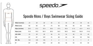 speedo mens dive aquashort black aquasplash grey