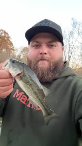Fall bass fishing in Kentucky #outdoors #fishing #bassfishing #bass #pond