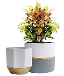 Best Indoor Plant Pots From Amazon That Are Actually Pretty Indoor Plant Pots Ceramic Flower Pots Indoor Flower Pots