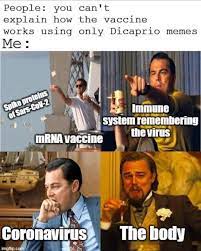 Imgur is the easiest way to discover and enjoy the magic of the internet. How The Covid Vaccine Works With Leo Memes Album On Imgur
