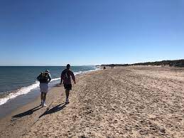 We did not find results for: El Saler Valencia Aktuelle 2021 Lohnt Es Sich Mit Fotos Tripadvisor