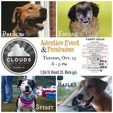 People who want to adopt a pet should. Dog Adoption Events Raleigh Nc