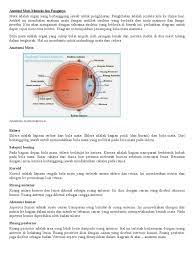 Check spelling or type a new query. Anatomi Mata Manusia Dan Fungsinya