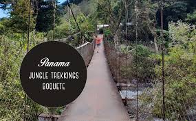 Kris kremers and lisanne froon were two dutch students traveling through panama. Boquete Travel Blog 3 Cool Hikes In The Jungle Of Panama