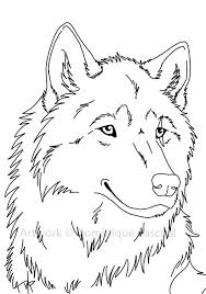 A Drawing In Graphite Of A Wolf Snarling I Used This Reference Line Art Drawings Animal Drawings Wolf Drawing