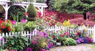 Backyard garden with pink echinacea purple coneflowers, white picket fence, blue monkshood aconitum, lawn, house building in summer flowers. 46 Fun Ideas For Your Little Flower Garden
