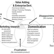 E.g., a milky liqueur called amarula is produced commercially. Pdf Towards The Development Of Miombo Fruit Trees As Commercial Tree Crops In Southern Africa