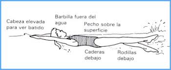 Resultado de imagen de coordinacion estilo espalda
