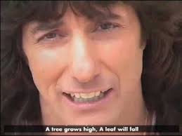 This is Dennis "Danger" Madalone, stunt coordinator and frequent uncredited  actor