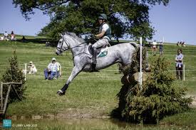 Robin godel (22 ans) est sous le choc, mais il n'a pas été blessé. Efz2mmq7cyta1m