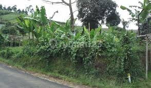 Jual Beli Tanah di Lembang, Bandung | Harga Tanah Per Meter 2025