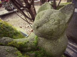 When tomorrow starts without me don't think we're far apart for every time you think of me i'm right here inside your heart. Visit The Cimetiere Des Chiens The Paris Pet Cemetery Bonjour Paris
