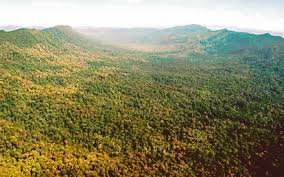 Imbak canyon conservation area in sabah, malaysia. Researchers To Present Findings