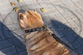 Choosing the right size for your puppy. Choosing Dog Collar Width Dog Walking Harness And Anti Pull Harnesses For Easy Walk In Miraculous Styles Dog Walking Harnesses Store