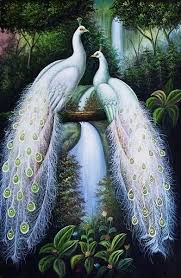 Maybe you would like to learn more about one of these? Jual Lukisan Burung Merak Putih Dekorasi 90x130 Di Lapak Jendela Ubud Painting Bukalapak
