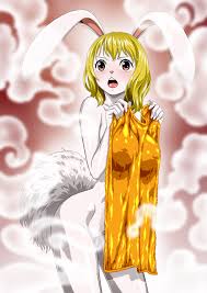 Rule34 - If it exists, there is porn of it  carrot (one piece)  4715746