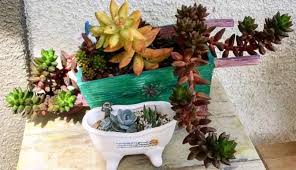 Hello hello, and welcome to a post all about how to plant in pots without drainage holes. Do Succulents Need Drainage How To Plant In Pots Without Holes Succulent Plant Care