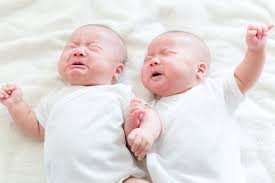 Image result for Multiple Gestation