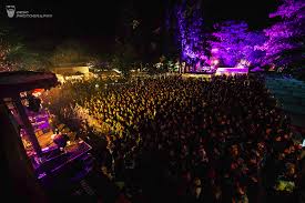 Am 29.3.2020 finden auf den jeweiligen instagram kanälen der künstler weitere online. Indie Festivals Festivalhopper