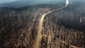 The storm helped create almost perfect fire conditions and when the winds brought down powerlines at 11.47am in kilmore east, the resulting sparks ignited the fire. Black Saturday The Bushfire Disaster That Shook Australia Bbc News