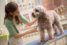 2022 Dog Grooming Prices List Costs By Breed Weight