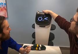 Canadian restaurant adds a cat-like robot to its waiting staff
