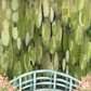 Monet’s Lily Bridge