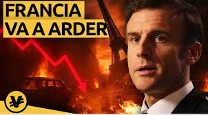 alguien tiene el curi de paimon diciendo omaigoto?