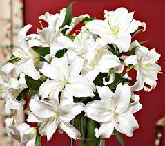 Crystal Blanca Lily Bouquet White Flower Farm White Flower Farm White Lily Bouquet Lily Bouquet