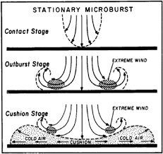 The air also effectively splashes back up toward the outside of the rain shaft. Schematic Of Evolution Of Downburst Showing Development Of Regions Of Download Scientific Diagram