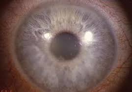 Les mer på apotek 1. Hjem