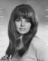 David Gurian: Movies, TV, and Bio