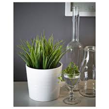 The brand used by the group is an acronym that consists of the founder's initials, and those of elmtaryd, the. Fejka Artificial Potted Plant In Outdoor Grass 9 Cm Ikea