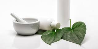 Download mp3 jambu daun ketum gratis, ada 20 daftar lagu jambu daun ketum yang bisa anda download. Ragam Manfaat Daun Sirih Untuk Kesehatan Bisa Atasi Asam Urat Bola Net