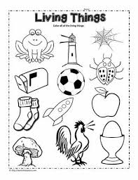 Our free science worksheets are great for everybody! Circle The Living Things Worksheet Science Worksheets Kindergarten Science Kindergarten Worksheets