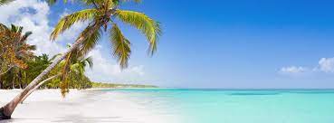 Dreams are made of beaches like these! Bavaro The Best Beach In The Caribbean Lopesan