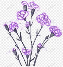 Carnation Carnation Carnation Flower Hand Painted Carnation Cartoon Carnation Flower Material Carnation Ma Web App Design Design Elements Carnation Flower