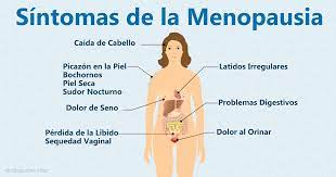 Consejos Para Sobrevivir La Menopausia Y El Reemplazo Hormonal