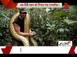 Eaten Alive Giant Anaconda Eats Man Alive In Reality Tv Show Youtube