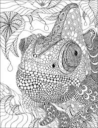 Erwachsene kostenlose ausmalbilder erwachsene erwachsene mandala zum ausdrucken. Fabulous Phil Lewis Art Coloring Books For Adults Http Phillewisart Zenfolio Com Ausmalbilder Ausmalbilder Zum Ausdrucken Kostenlos Mandala Zum Ausdrucken