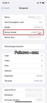 Cara Cek atau Mengetahui iPhone Set Apa dan Dari Mana | PUKEVA