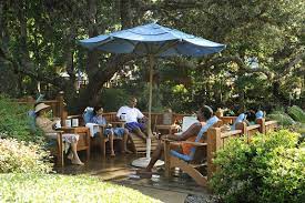 Patio Rentals Now Available At Disney S Typhoon Lagoon Blizzard Beach Chip And Company