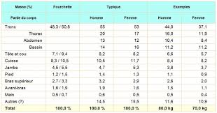 Résultat de recherche d'images pour "nombre d'or corps humain"