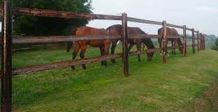 We did not find results for: Interdiction Des Bois Creosotes Quelles Alternatives Hors News